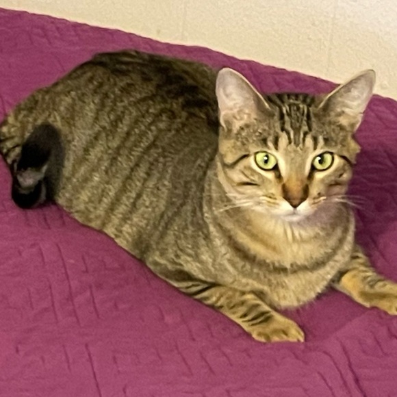 COPY - Annette here.  Love visits! Pics of house are 2 years projections! - Picture 9 of 12